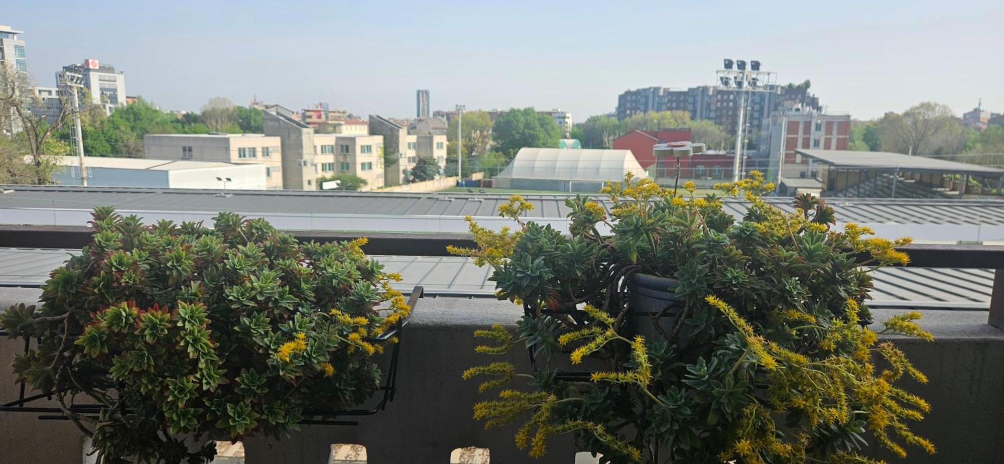 La Nostra Casa In Corte Milano Exteriör bild